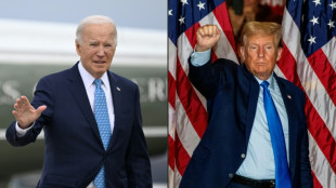 Face &agrave; Trump, Biden mise sur son grand discours au Congr&egrave;s pour prendre de l'&eacute;lan