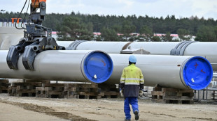 Gr&uuml;ne kritisieren Vorsto&szlig; Kretschmers f&uuml;r Nord-Stream-Inbetriebnahme