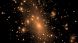 Oltre 2.500 galassie racchiuse in un'immagine super-profonda