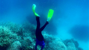 World's coral reefs crossing survival limit: global experts