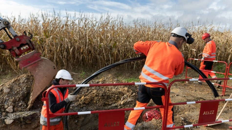 Un an apr&egrave;s la temp&ecirc;te Ciaran, Enedis adapte le r&eacute;seau &eacute;lectrique breton aux al&eacute;as climatiques