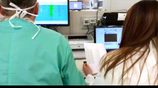 Pronta la prima farmacia vivente, impiantabile nel corpo