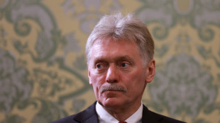 Cremlino, 'incontro Putin-Trump non è in preparazione'
