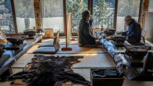 Japon: apr&egrave;s les attaques d'ours, leur viande s'invite dans des restaurants