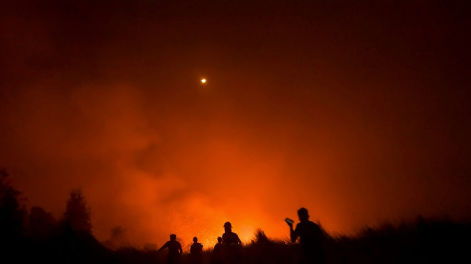 Walking through flames: orangutans rescued in Indonesia fires