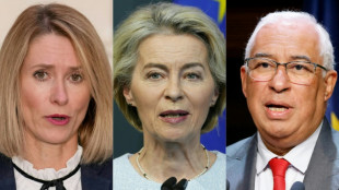 EU-L&auml;nder nominieren von der Leyen - Kommissionschefin braucht Parlamentsmehrheit