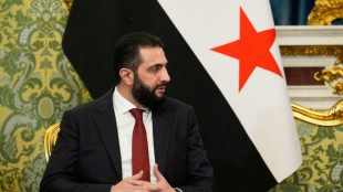 Le Conseil de sécurité de l'ONU lève ses sanctions contre le président syrien