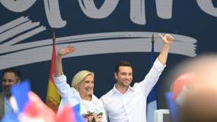 Le Pen reúne a sus aliados en Europa para mostrar la unidad ultraderechista