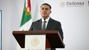 Capturan al líder del Tren de Aragua en México