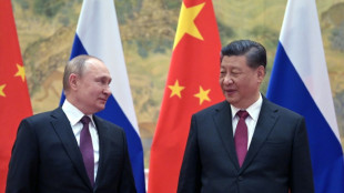 Xi warns about 'expanding military alliances' at BRICS summit: state media