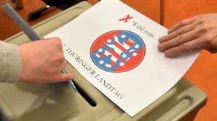Umfrage: AfD in Th&uuml;ringen weiter st&auml;rkste Partei &ndash; CDU und BSW fast gleichauf