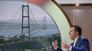 Ok Mase al Ponte Stretto. Salvini, 'altro passo avanti'
