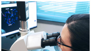 L'esercizio fisico aiuta a lavare via le scorie dal cervello