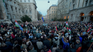 Mutma&szlig;licher Korruptionsfall: Tausende protestieren in Ungarn gegen Orban