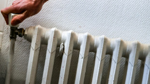Los Estados mejoran demasiado despacio su eficiencia energ&eacute;tica, advierte la AIE