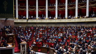 Aide &agrave; l'Ukraine: large soutien en vue &agrave; l'Assembl&eacute;e, sans le RN ni LFI
