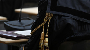 "Non è irragionevole il divieto di Pma per la donna single"