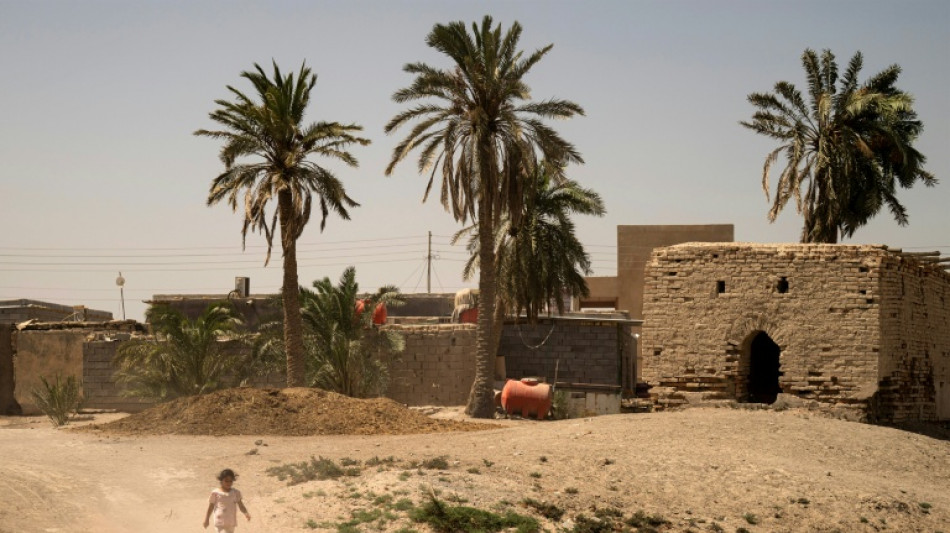 En Irak, les agriculteurs confrontés à la hausse de la salinité de l'eau pour cause de sécheresse