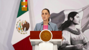 Mexikos Pr&auml;sidentin: Armee hatte keine Kenntnis von Anwesenheit m&ouml;glicher US-Agenten