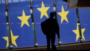 Huawei probe blunder sparks EU parliament rules change