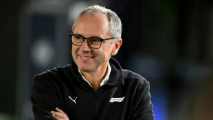 Verstappen understands 'bigger picture' in power unit debate: F1 boss Domenicali