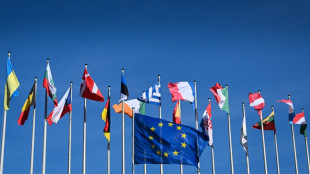 Emissions de CO2: les eurodéputés allègent les règles pour l'industrie automobile