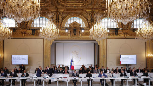 Bozza Volenterosi, 'Commissione Speciale sul monitoraggio tregua'