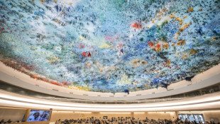 UN-Menschenrechtsrat fordert Stopp von Waffenverk&auml;ufen an Israel