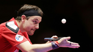 Boll vor Comeback: "Von Tag zu Tag besser"
