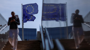 L'Ue svela il Clean Industrial Deal, mobiliter&agrave; 100 miliardi
