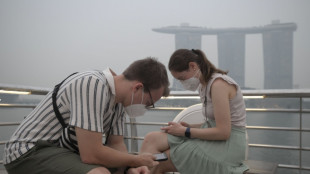 Wong weighs haze prosecutions as Singapore air quality worsens