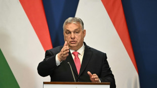 OTAN : le v&eacute;to turc lev&eacute;, la Su&egrave;de invit&eacute;e par Orban &agrave; discuter