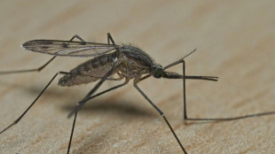Mückensprays im Warentest: Testsieger schützt 7,5 Stunden vor Stichen