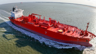 Teheran, lo Stretto di Hormuz &egrave; chiuso solo per i nostri nemici