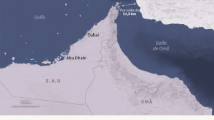 Maersk suspende passagem de seus navios pelo estreito de Ormuz