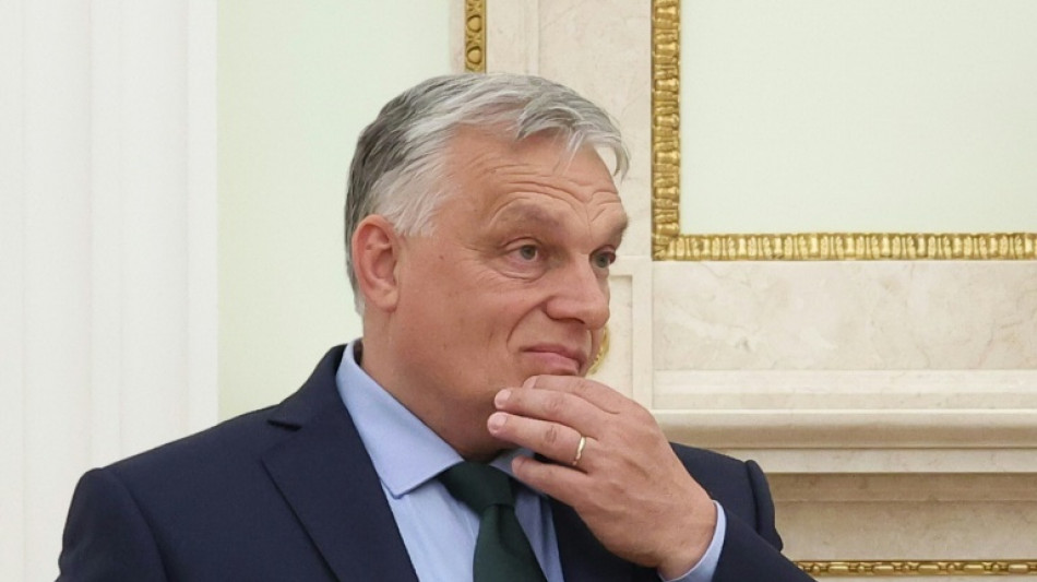 Ausw&auml;rtiges Amt: Bereits "gro&szlig;er Flurschaden" durch Ungarns EU-Ratspr&auml;sidentschaft