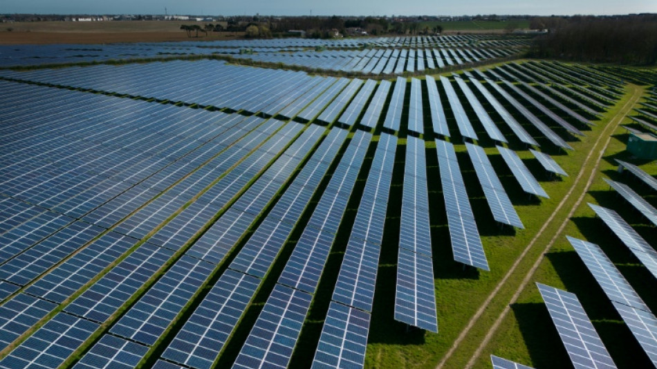 Gro&szlig;es Interesse an Ausschreibung f&uuml;r Solaranlagen - Habeck: Stromkosten sinken