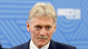 Kreml: Russland braucht mehr Migration wegen Arbeitskr&auml;ftemangels