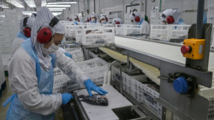 Desemprego se mantém no mínimo histórico no Brasil