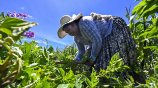 Bertha Aguilar, l'avocate bolivienne au service des femmes indig&egrave;nes aymaras