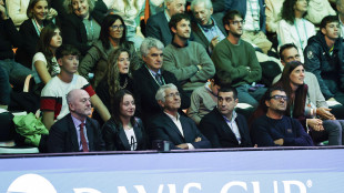 Tennis: Binaghi 'lavoriamo per portare le Finals di BJK Cup in Italia'