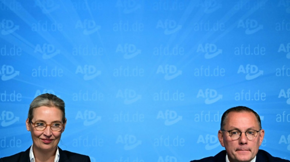 Weidel beharrt auf AfD-Regierungsanspruch in Sachsen und Th&uuml;ringen