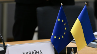 L&uuml;hrmann: Start der EU-Beitrittsgespr&auml;che f&uuml;r die Ukraine "historischer Tag"