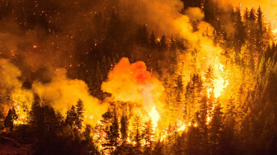 Grande inc&ecirc;ndio florestal na Patag&ocirc;nia argentina afeta 5.500 hectares