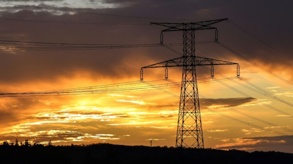 Un plan &agrave; 100 milliards d'euros pour moderniser le r&eacute;seau &eacute;lectrique