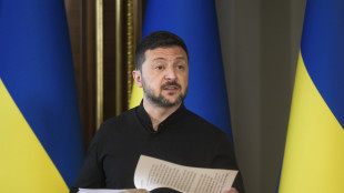 Kiev, Zelensky deciderà prossimi passi dopo incontro con Erdogan
