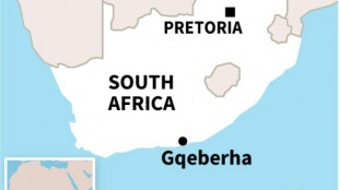 Gunmen kill eight at birthday party in S.Africa: police