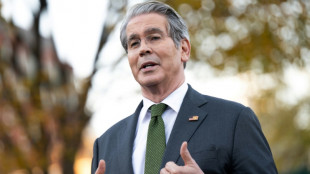 US Treasury chief seeks looser regulation at financial stability panel