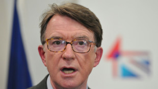 Affaire Epstein: la police britannique perquisitionne &agrave; deux adresses li&eacute;es &agrave; Mandelson