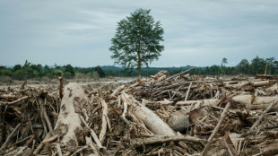 Deadly Indonesia floods force a deforestation reckoning